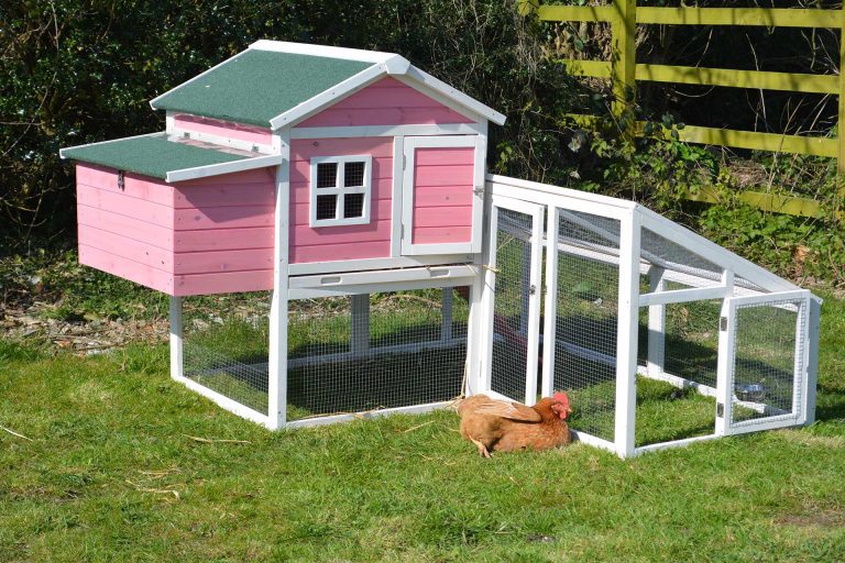 Get Idea About Some Best Selling Chicken Coop Under 300