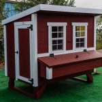 7 Best Chicken Coops Design Ideas From Various Manufacturer Company