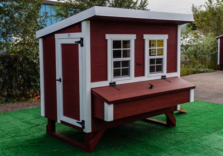 7 Best Chicken Coops Design Ideas From Various Manufacturer Company