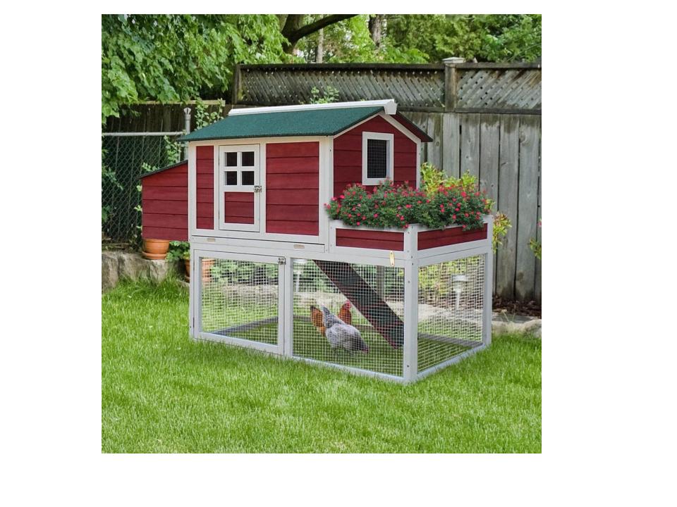 Eco Friendly Chicken Coops