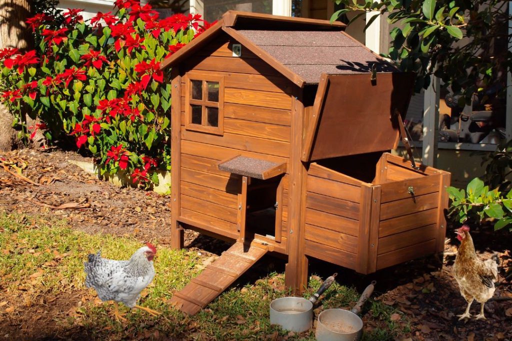 Small Space Small Chicken Coop