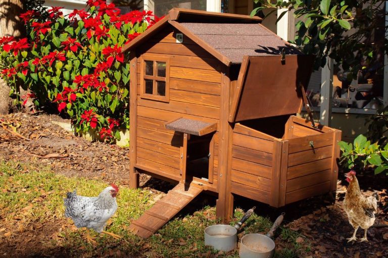 11 Best Small Space Small Chicken Coop Ideas That Are Easy To Build