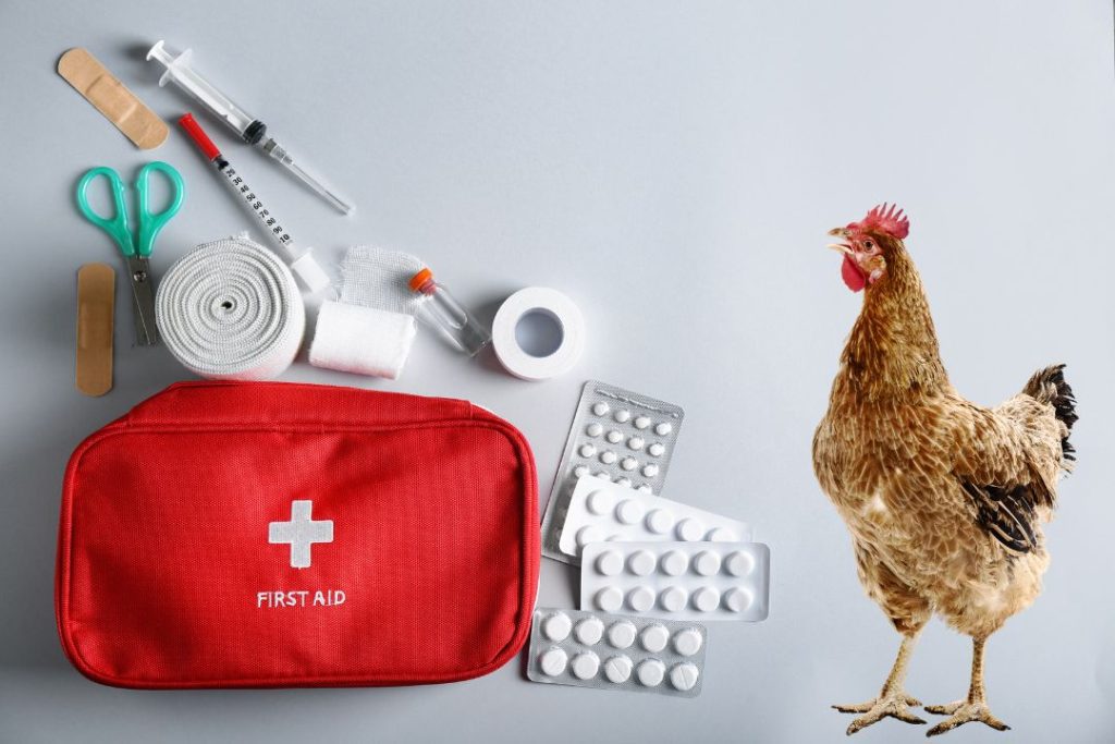 Chicken First Aid Kit