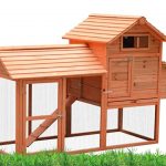 How To Build A Chicken Coop In 11 Easy Steps