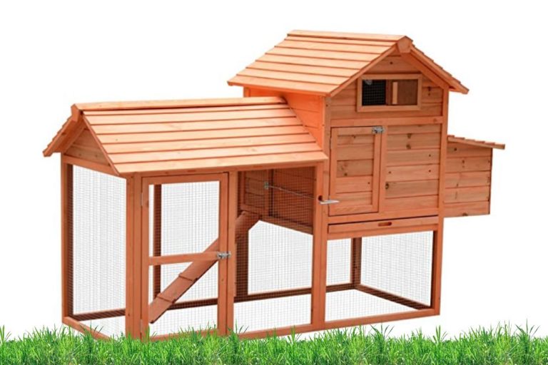 How To Build A Chicken Coop In 11 Easy Steps