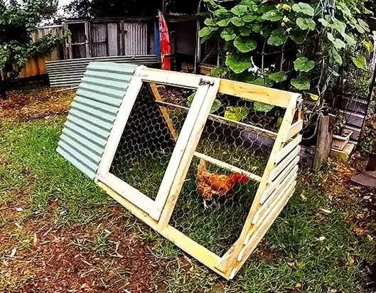 Basic And Open - A frame chicken coop plans