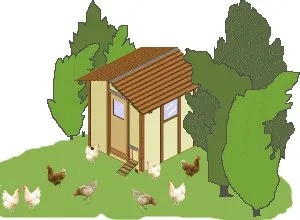 BuildEazy Chicken Coop - DIY Chicken Coop Plan