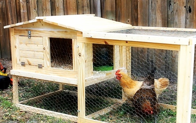 DIY Small Backyard Chicken Coop - DIY Chicken Coop Plan