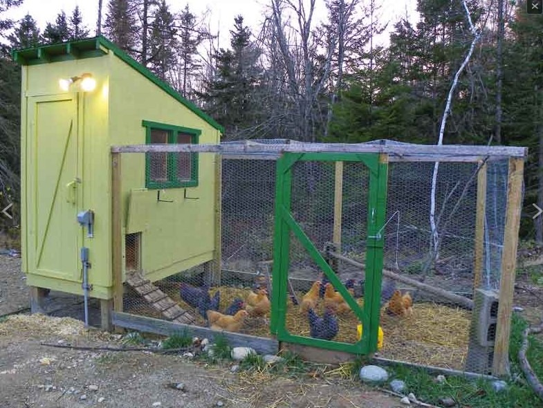 Downeast Thunder Farm Chicken Coop - DIY Chicken Coop Plan