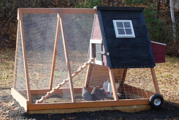 Minimalist Nesting A frame chicken coop plans