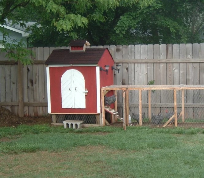 Robb’s Backyard Chicken Coop - DIY Chicken Coop Plan
