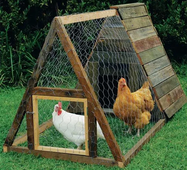 Rustic Coop - A frame chicken coop plan