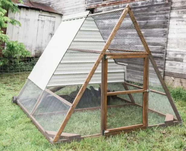 Tall A-Frame Tractor chicken coop plan