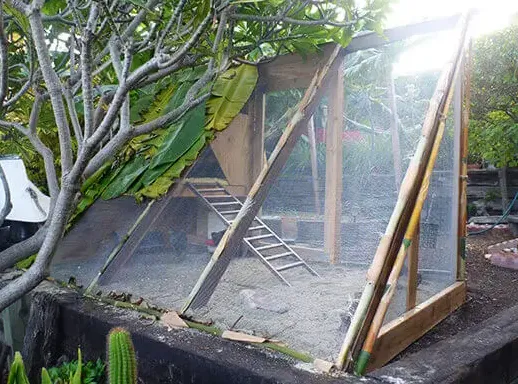 The Tiki Coop - A frame chicken coop plan