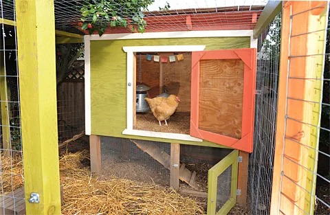 Urban Chicken Coop - DIY Chicken Coop Plan