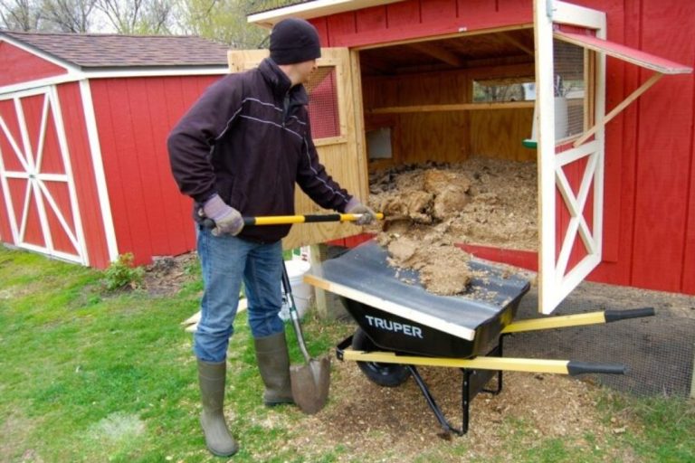 The Ultimate Chicken Coop Maintenance Checklist: Monthly, Quarterly, And Annual Tasks