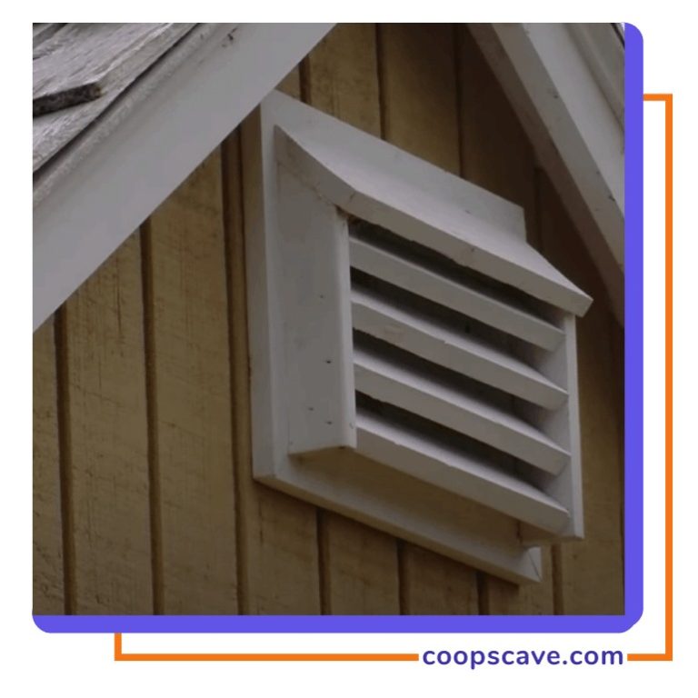 Chicken Coop Ventilation How To Ensure Proper Airflow For Healthier