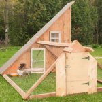 How To Choose The Right Materials For A Long-Lasting And Easy-to-Maintain Chicken Coop