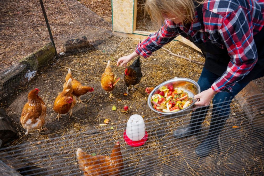 how to keep bedding out of chicken water