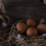 Pine Needles in Your Chicken Coop: Benefits and Precautions