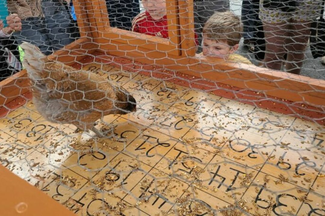 Fun with Fowl How to Make a Chicken Poop Bingo Board Coops Cave